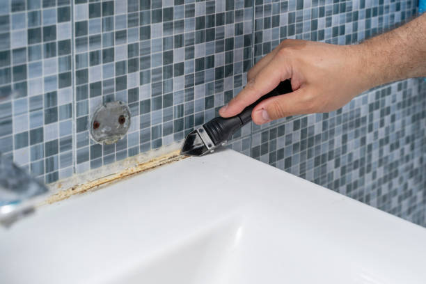 Best Toxic Mold Removal  in Kimberly, WI